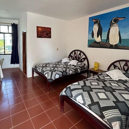Hotel Isla Del Descanso プエルト・ビジャミル エクステリア 写真